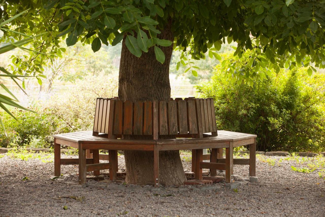 Отель Weinhof Am Nussbaum Willanzheim Экстерьер фото