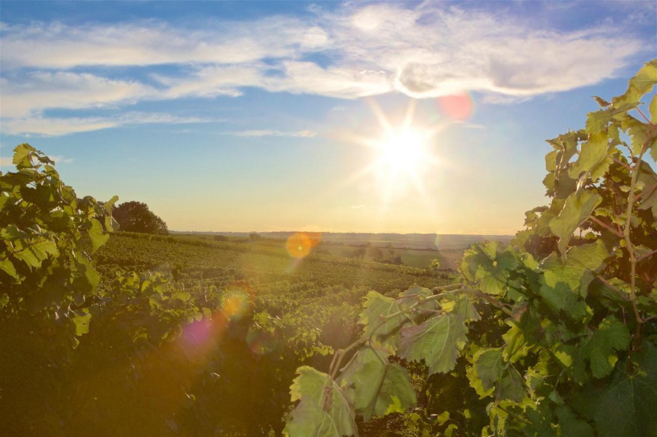 Отель Weinhof Am Nussbaum Willanzheim Экстерьер фото