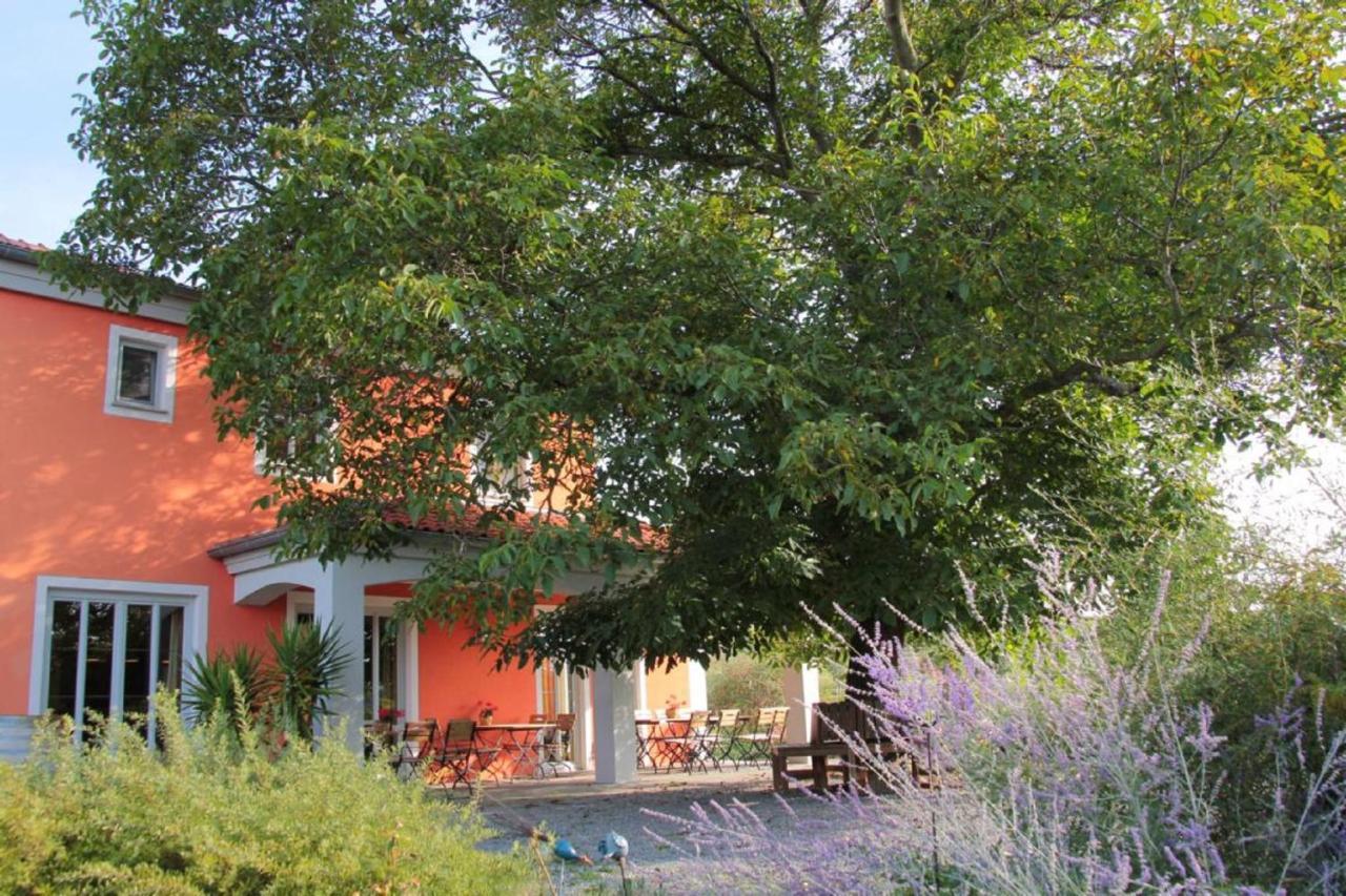 Отель Weinhof Am Nussbaum Willanzheim Экстерьер фото